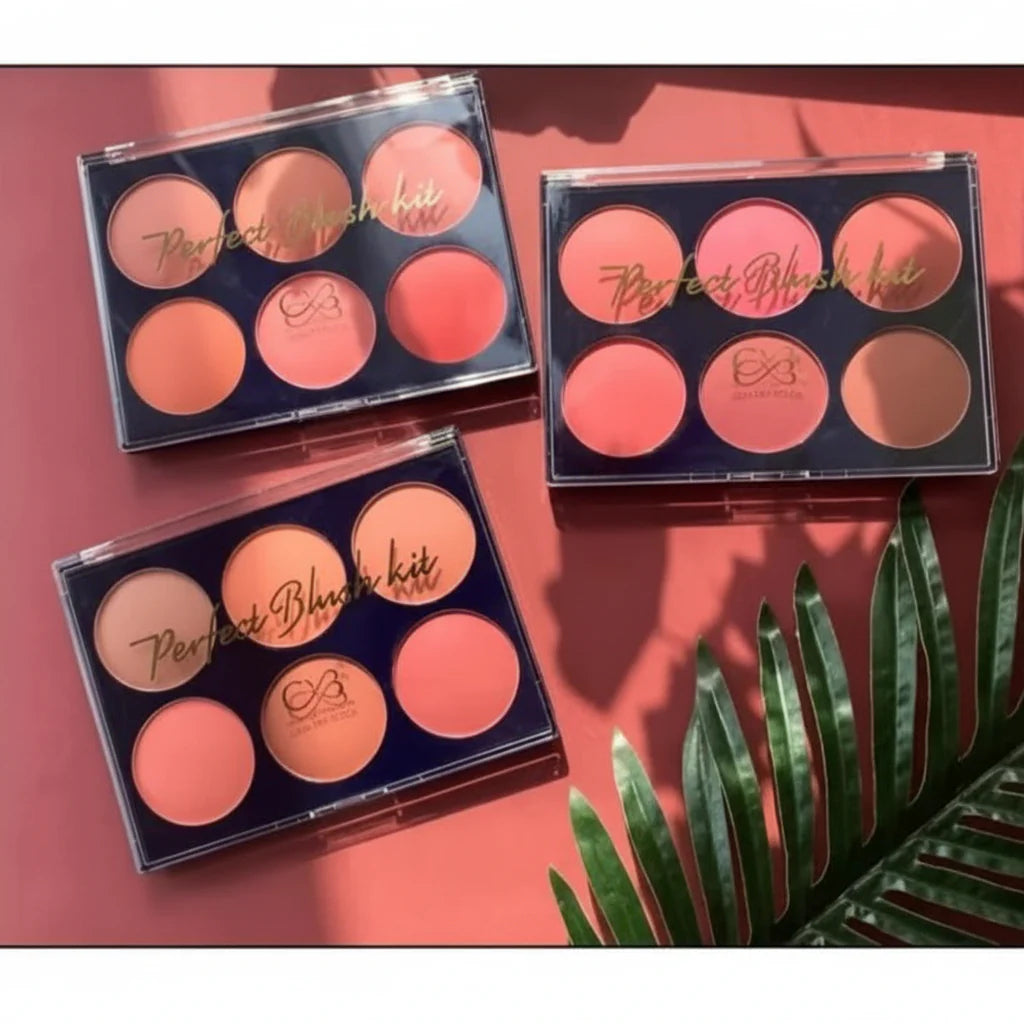 CVB Blush & Contour Kit