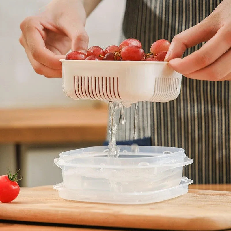 Mini Drain Storage Container with Lid – Pack of 4